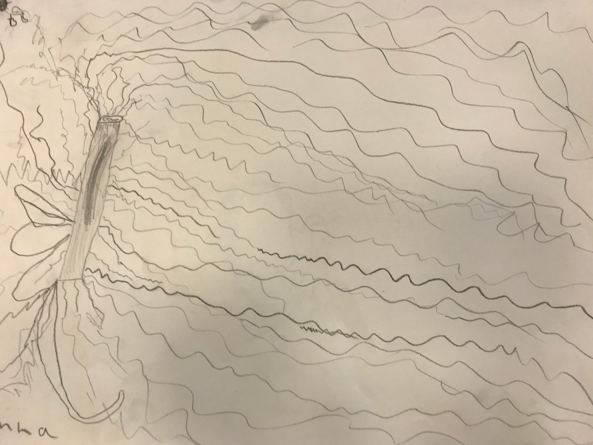 1F63D347-C7A1-440F-BA02-4345E2E79DD2